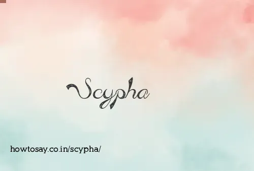 Scypha