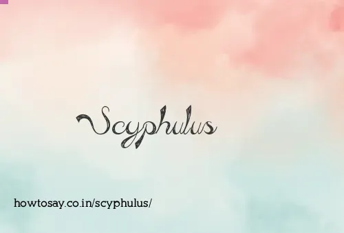 Scyphulus