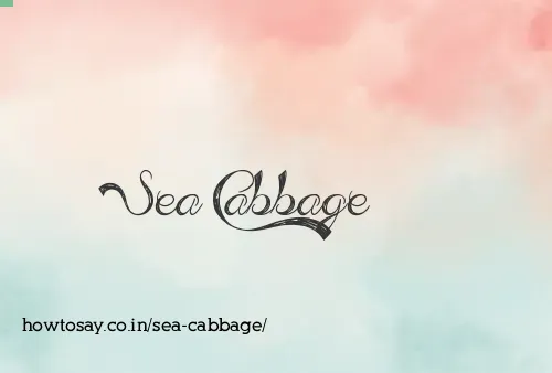 Sea Cabbage