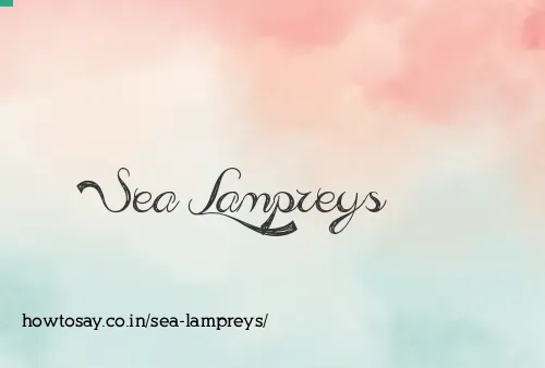 Sea Lampreys