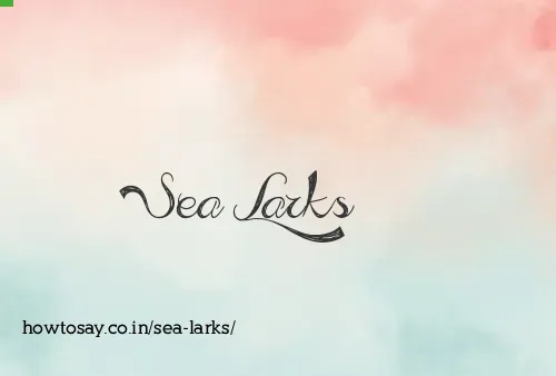 Sea Larks