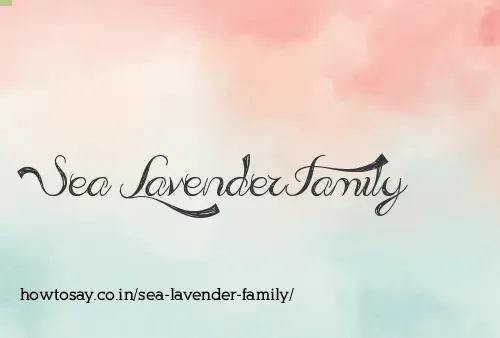 Sea Lavender Family