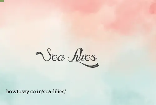 Sea Lilies