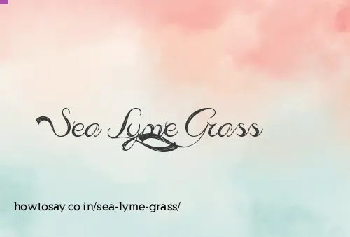 Sea Lyme Grass