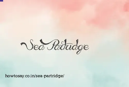 Sea Partridge