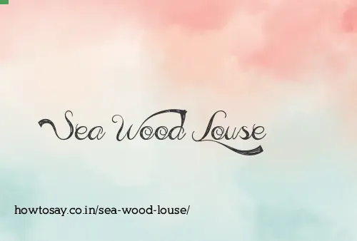 Sea Wood Louse