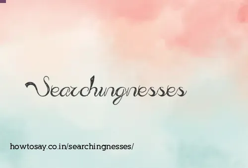 Searchingnesses