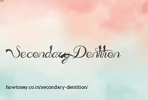 Secondary Dentition