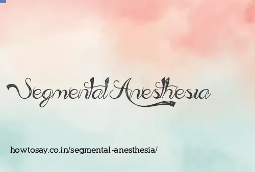 Segmental Anesthesia