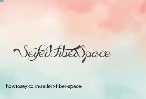 Seifert Fiber Space
