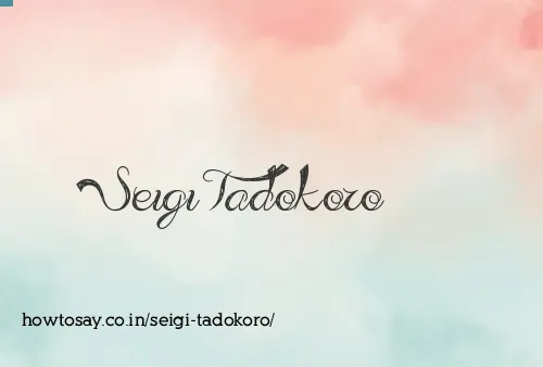 Seigi Tadokoro