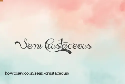 Semi Crustaceous
