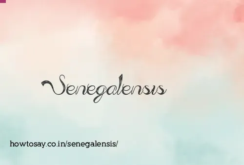 Senegalensis
