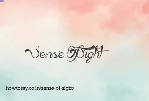 Sense Of Sight
