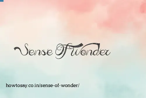 Sense Of Wonder