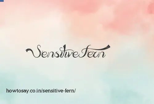 Sensitive Fern