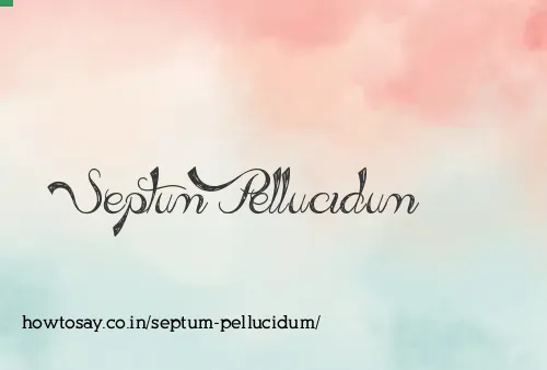 Septum Pellucidum