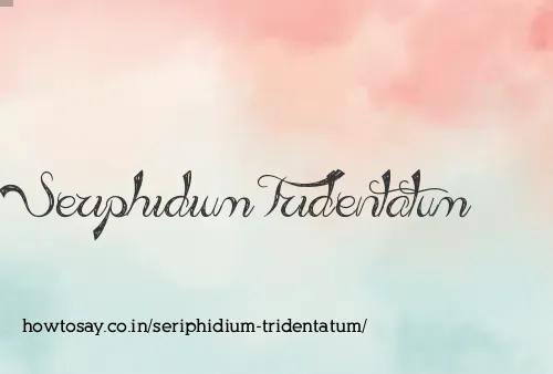 Seriphidium Tridentatum