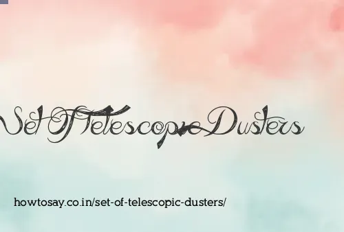 Set Of Telescopic Dusters