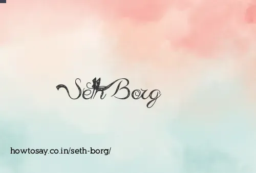 Seth Borg