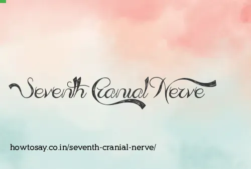 Seventh Cranial Nerve