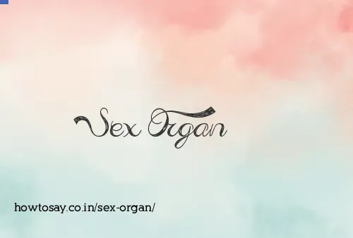 Sex Organ