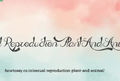 Sexual Reproduction Plant And Animal
