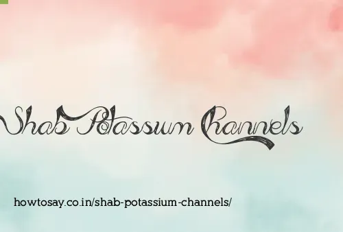 Shab Potassium Channels
