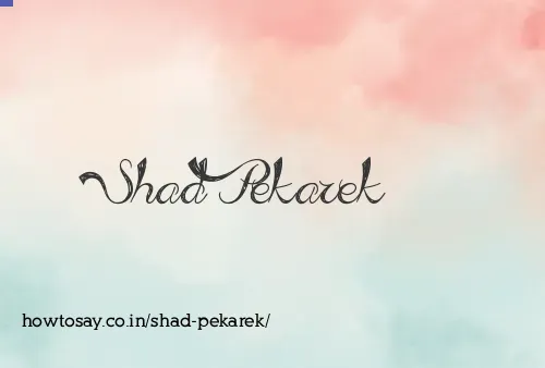 Shad Pekarek
