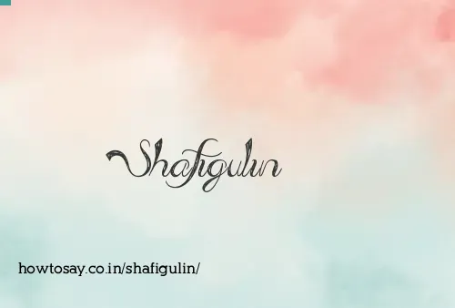 Shafigulin