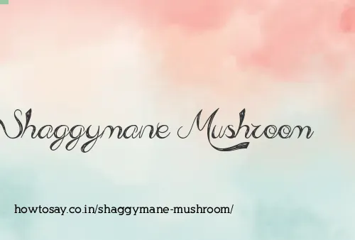 Shaggymane Mushroom