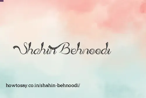 Shahin Behnoodi