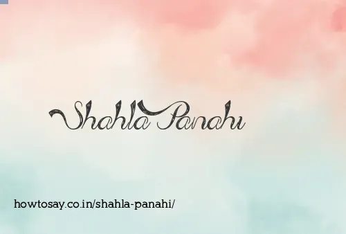 Shahla Panahi