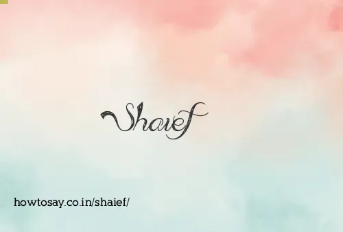 Shaief