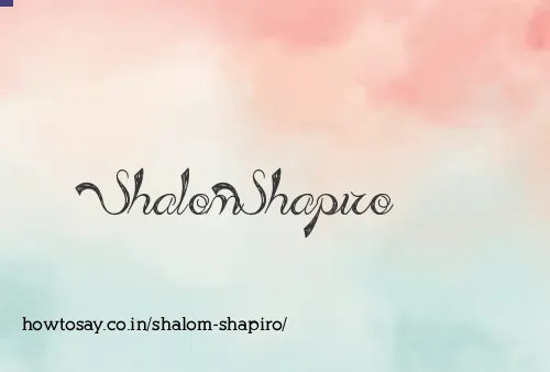 Shalom Shapiro