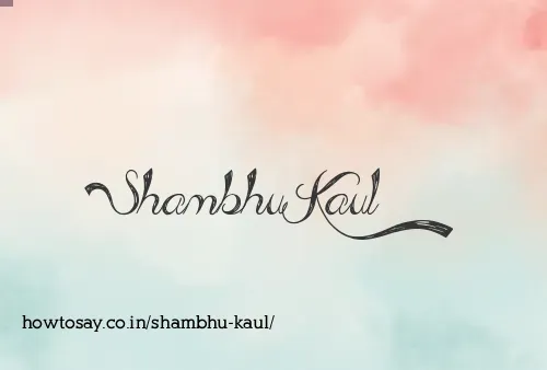 Shambhu Kaul