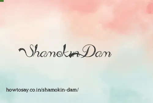 Shamokin Dam