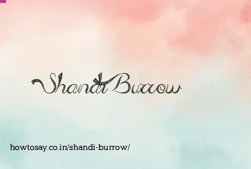 Shandi Burrow