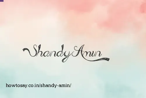 Shandy Amin