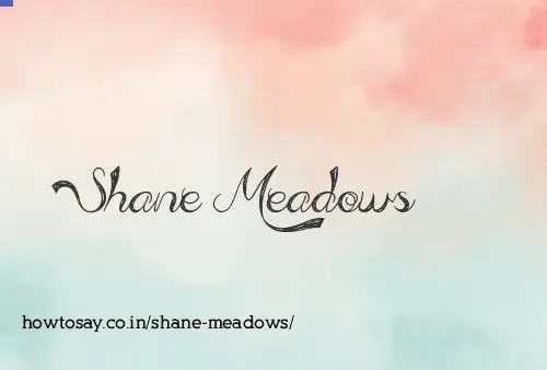 Shane Meadows
