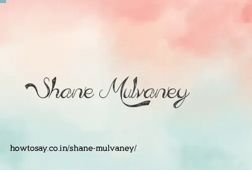 Shane Mulvaney