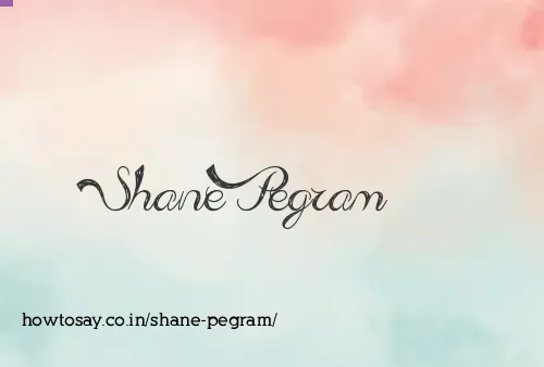 Shane Pegram
