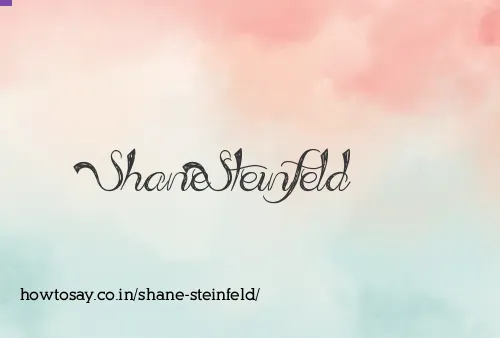 Shane Steinfeld