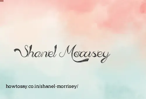 Shanel Morrisey