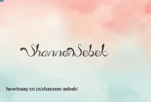 Shannon Sebek