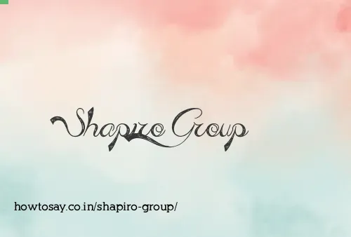 Shapiro Group