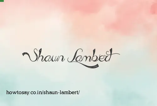 Shaun Lambert