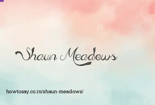 Shaun Meadows