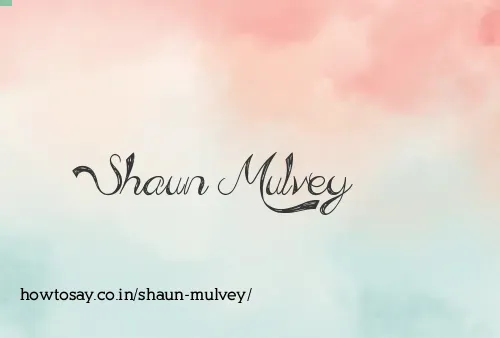 Shaun Mulvey