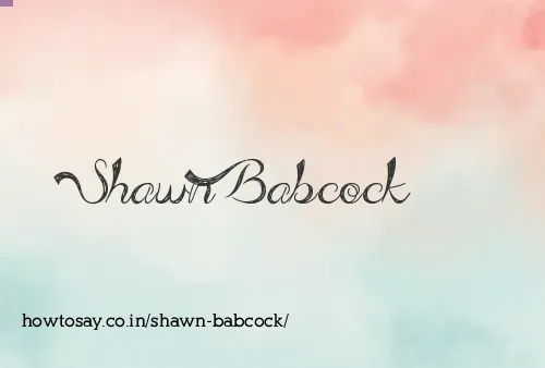 Shawn Babcock